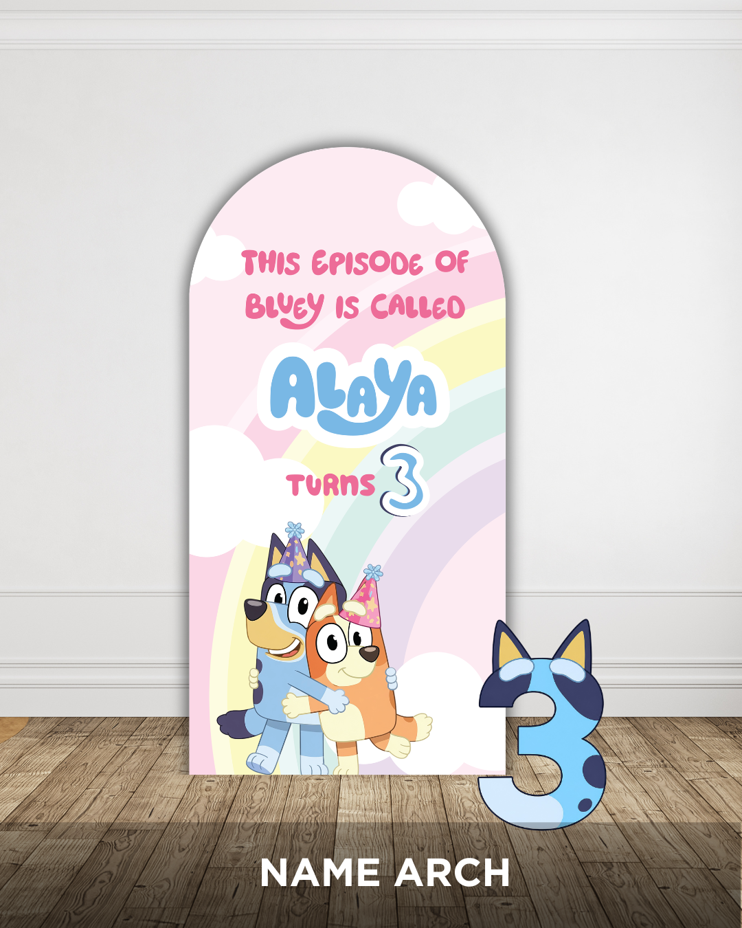 Bluey Party Bundle — view 3 | Molly Moo