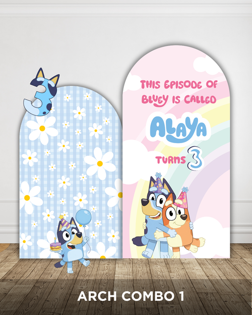 Bluey Party Bundle — view 2 | Molly Moo