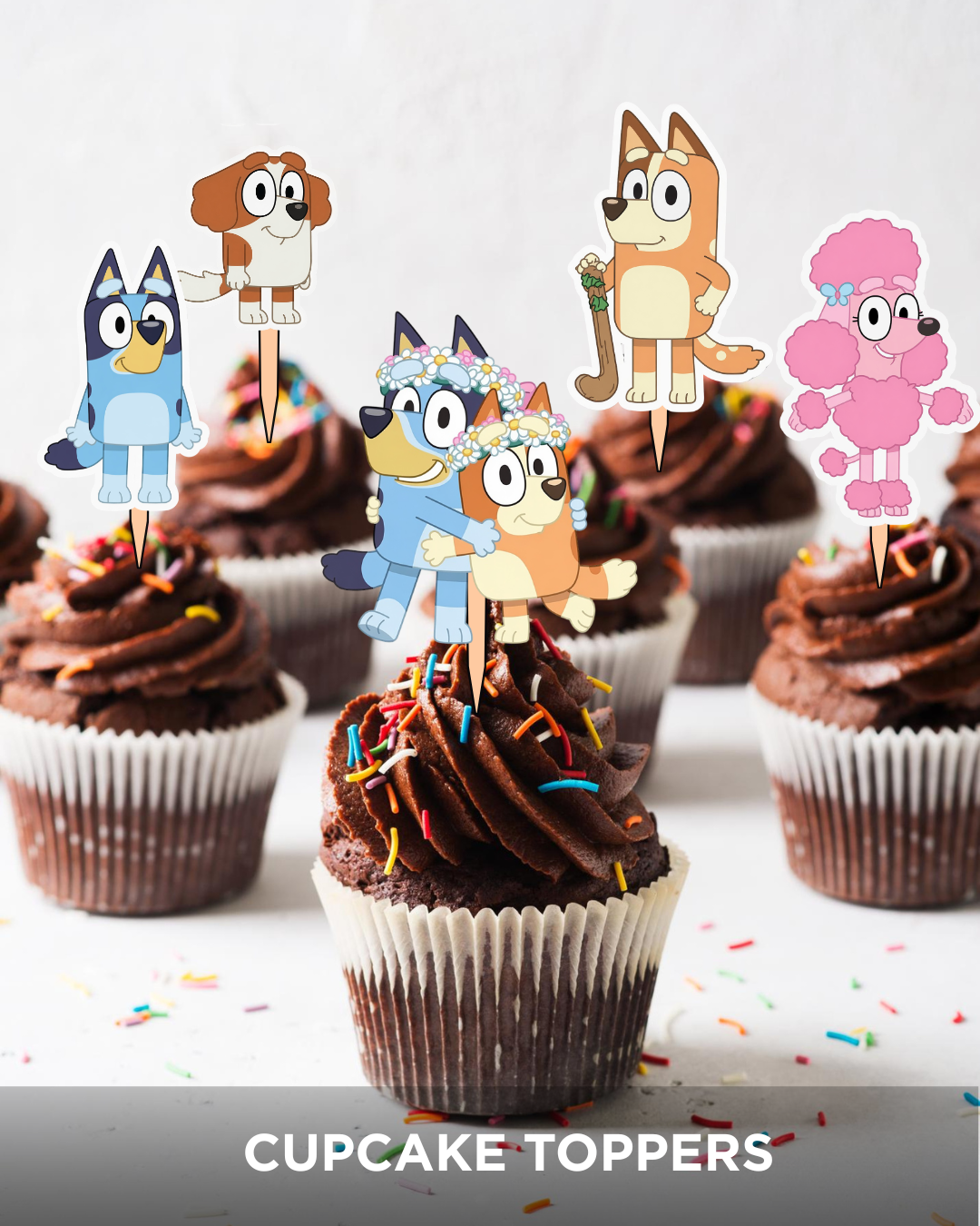 Bluey Party Bundle — view 11 | Molly Moo