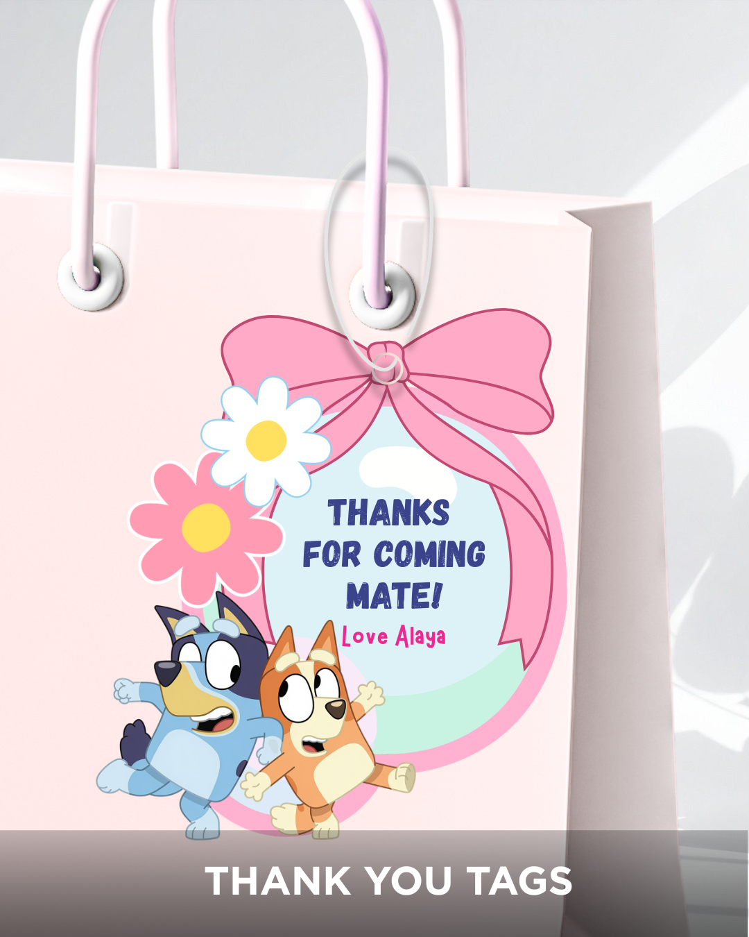 Bluey Party Bundle — view 12 | Molly Moo